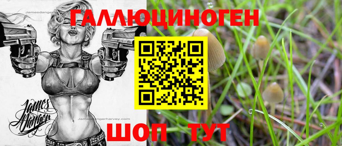 Псилоцибиновые грибы Magic Shrooms Мелеуз